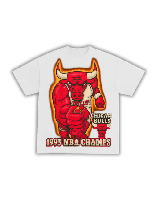 1993 NBA CHAMPION
