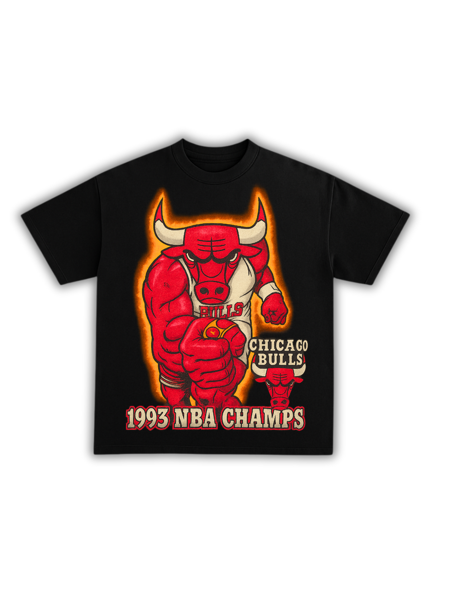 1993 NBA CHAMPION